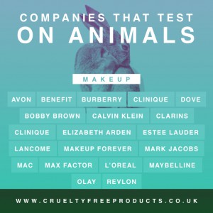 Companies-that-test-on-animals-uk-2018